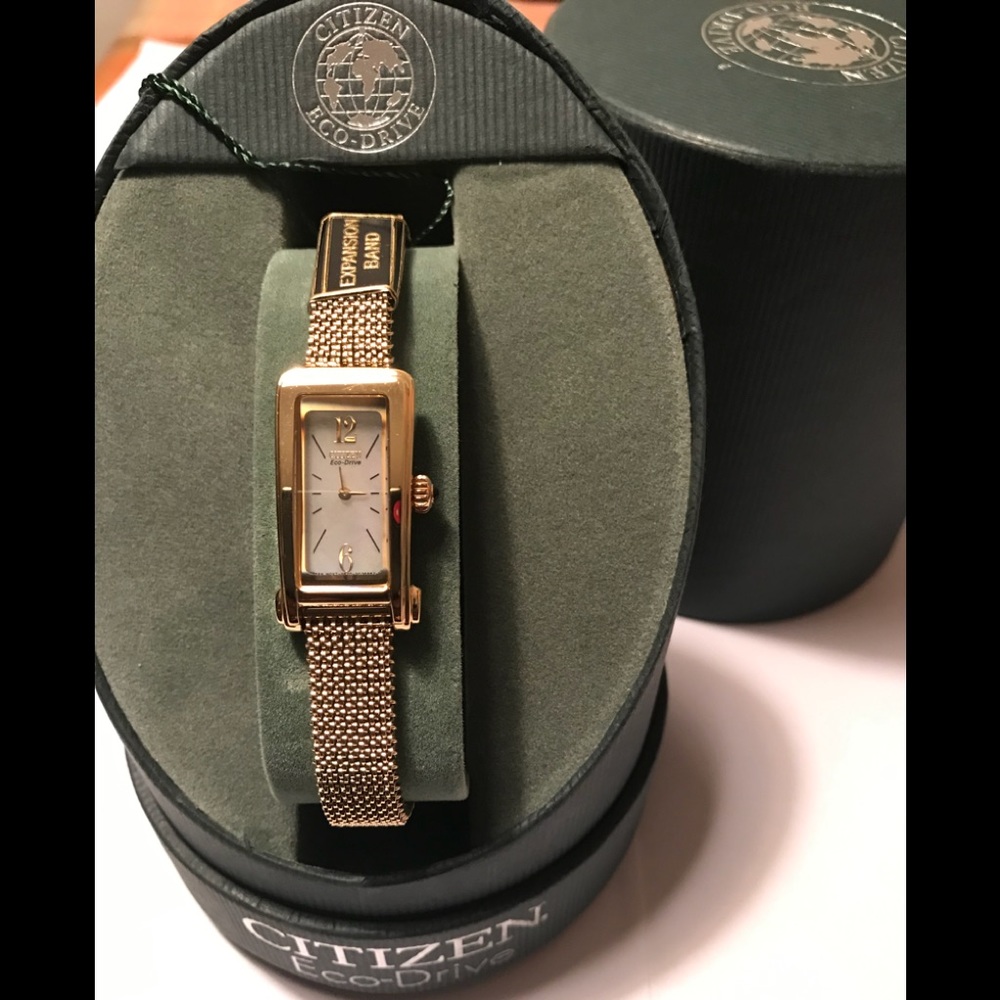 Citizen Eco-Drive Silhouette Expansion Ladies